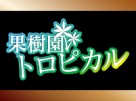 果樹園 -トロピカル- 果樹園 -トロピカル-